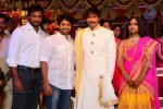 Gopichand Wedding Reception 01 - 125 of 190