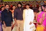 Gopichand Wedding Reception 01 - 177 of 190