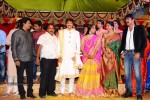 Gopichand Wedding Reception 02 - 1 of 173