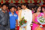 Gopichand Wedding Reception 02 - 8 of 173