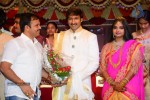 Gopichand Wedding Reception 02 - 97 of 173