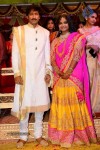 Gopichand Wedding Reception 02 - 124 of 173