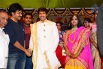 Gopichand Wedding Reception 02 - 163 of 173