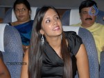 Graduate Movie Audio Launch - 1 of 66