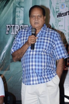 Green Card First Look Launch - 21 of 27