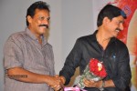 Gulabi Audio Launch - 28 of 44