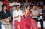 Gundello Godari Audio Launch 02 - 22 of 63