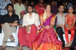 Gundello Godari Audio Launch 02 - 25 of 63