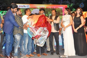 Gunturodu Audio Launch 2 - 7 of 87