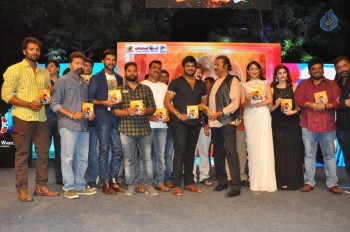 Gunturodu Audio Launch 2 - 30 of 87