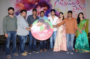 Guppedantha Prema Audio Launch - 12 of 21