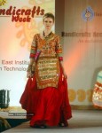 Handicrafts Fashion Show - 48 of 57