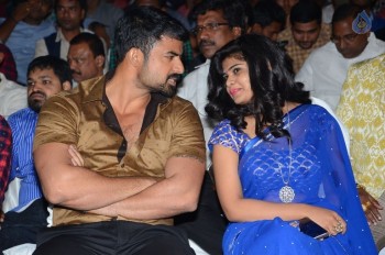 Happy Birthday Audio Launch - 1 of 39