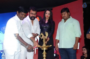 Happy Birthday Audio Launch - 13 of 39