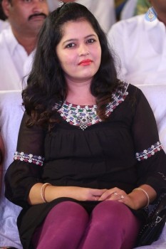 Happy Birthday Audio Launch - 22 of 39