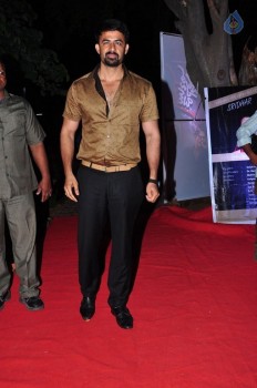 Happy Birthday Audio Launch - 27 of 39