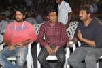 Heart Attack Movie Audio Launch - 32 of 64