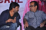 Heart Attack Movie Audio Success Meet - 42 of 68