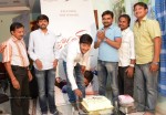 Hero Prince Bday Celebrations - 7 of 8