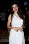 Hot Celebs at SIIMA Awards - 22 of 66