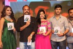 Hyderabad Love Story Audio Launch - 90 of 90