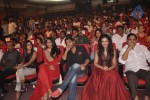 Iddarammayilatho Audio Launch 04 - 26 of 211