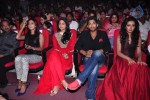 Iddarammayilatho Audio Launch 04 - 100 of 211