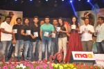 Iddarammayilatho Audio Launch 05 - 14 of 220