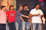 Iddarammayilatho Audio Launch 05 - 36 of 220