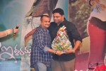 Iddarammayilatho Audio Launch 05 - 43 of 220