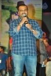 Iddarammayilatho Audio Launch 05 - 50 of 220