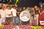 Iddarammayilatho Audio Launch 05 - 109 of 220