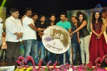 Iddarammayilatho Audio Launch 05 - 135 of 220