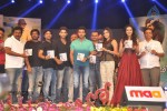 Iddarammayilatho Audio Launch 05 - 175 of 220