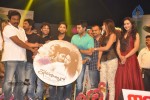 Iddarammayilatho Audio Launch 05 - 202 of 220