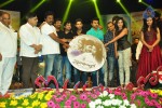 Iddarammayilatho Audio Launch 05 - 208 of 220