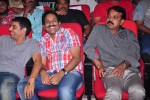 Iddarammayilatho Audio Launch 05 - 211 of 220