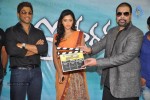 Iddarammayilatho Movie Opening - 16 of 98