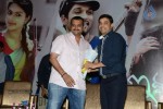 Iddarammayilatho Platinum Disc Function - 12 of 215