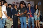 Iddarammayilatho Platinum Disc Function - 23 of 215