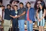 Iddarammayilatho Platinum Disc Function - 29 of 215