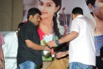 Iddarammayilatho Platinum Disc Function - 37 of 215