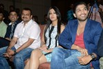 Iddarammayilatho Platinum Disc Function - 187 of 215