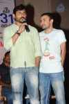 Iddarammayilatho Platinum Disc Function - 193 of 215