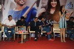 Iddarammayilatho Platinum Disc Function - 198 of 215