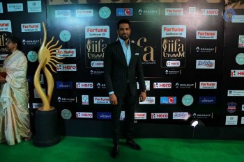 IIFA Utsavam 2017 Photos - 11 of 53