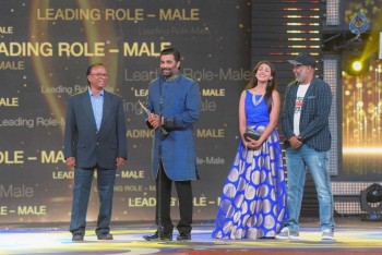 IIFA Utsavam 2017 Photos - 29 of 53