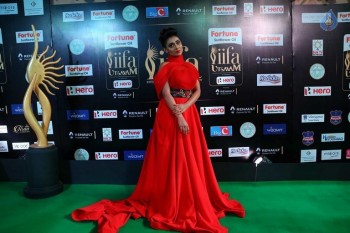 IIFA Utsavam 2017 Photos - 41 of 53