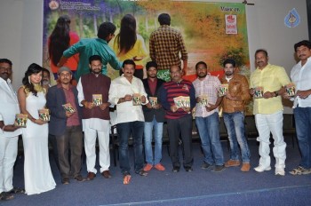 Ippatlo Ramudila Seethala Evaruntaarandi Babu Audio Launch - 15 of 32