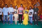 It's My Love Story Movie Platinum Disc Function - 71 of 83
